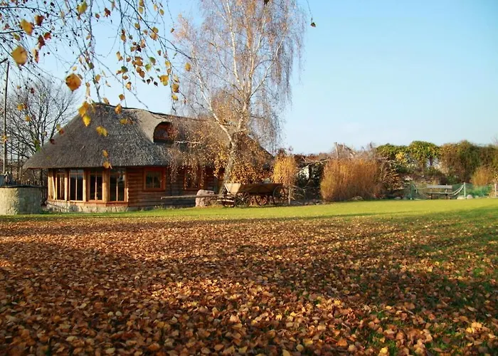 Hotel Jasmin Owinska